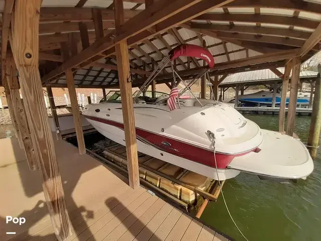 Chaparral Sunesta 254