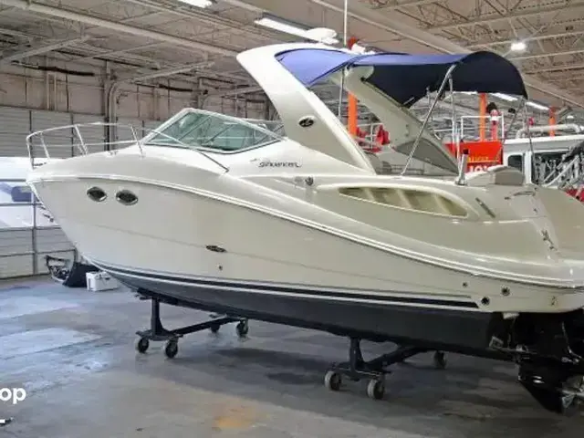 Sea Ray Sundancer 290
