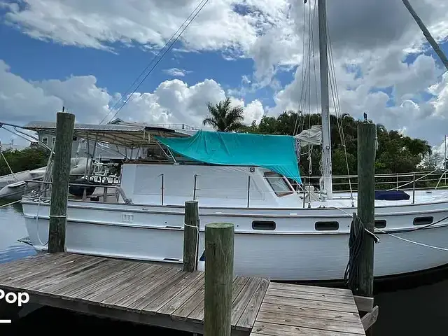 Trader 40