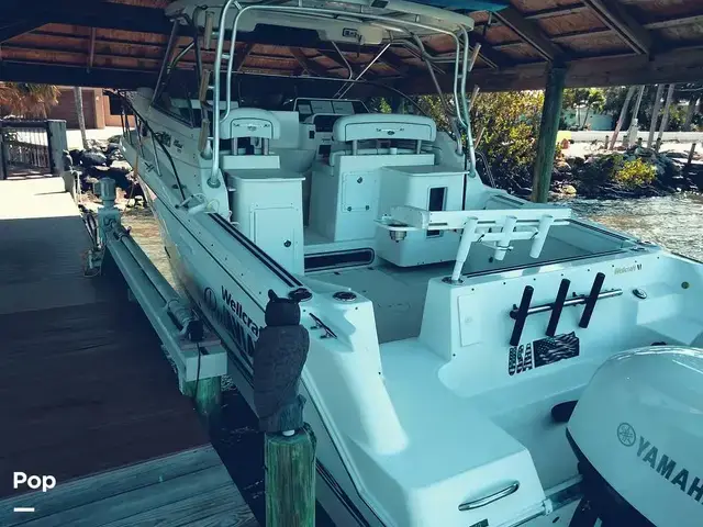 Wellcraft 290 Coastal