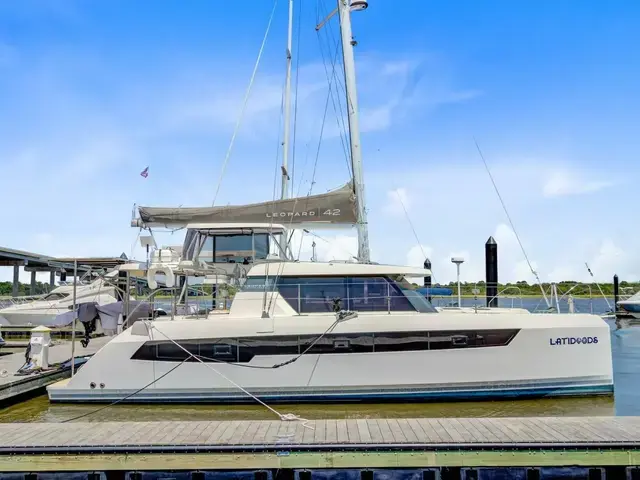 Leopard 42