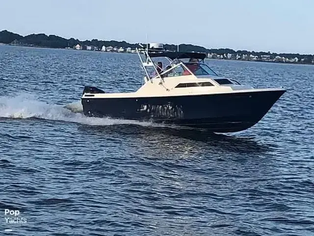 Wellcraft 248