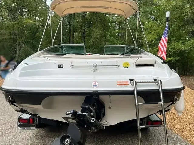 Crownline 21SS