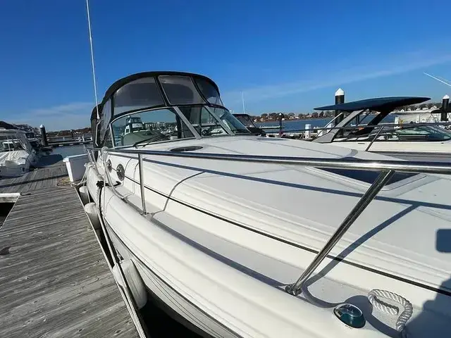 Sea Ray Sundancer 300