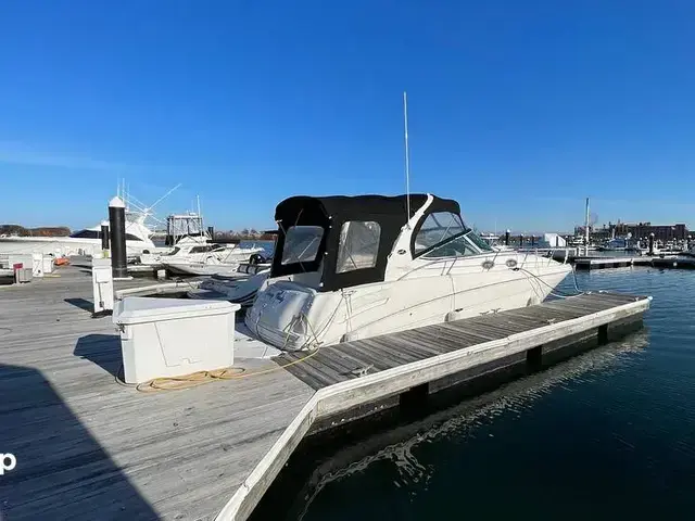 Sea Ray Sundancer 300
