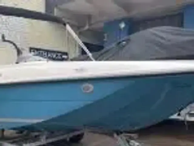 Bayliner Element E16