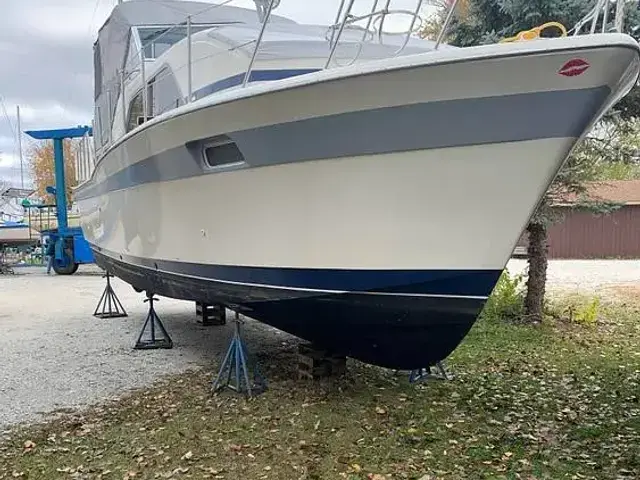 Chris Craft Catalina 350