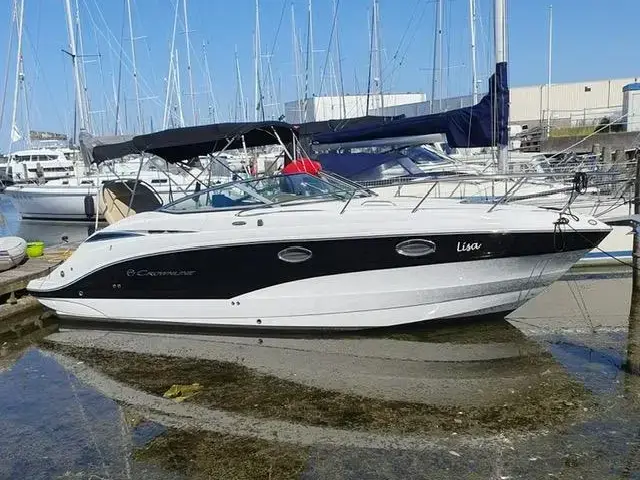 Crownline 264 Cr