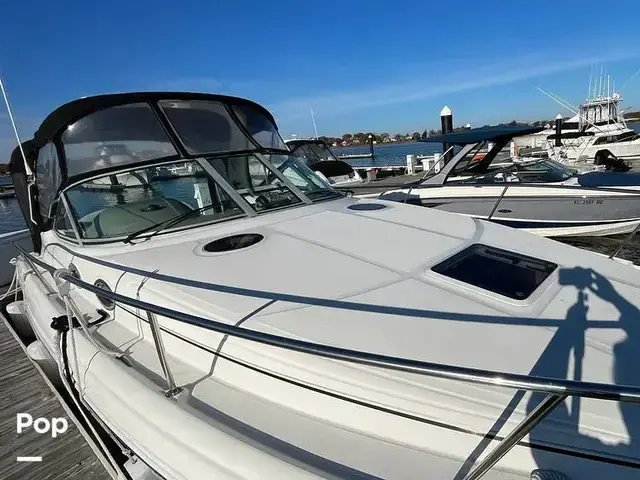 Sea Ray Sundancer 300