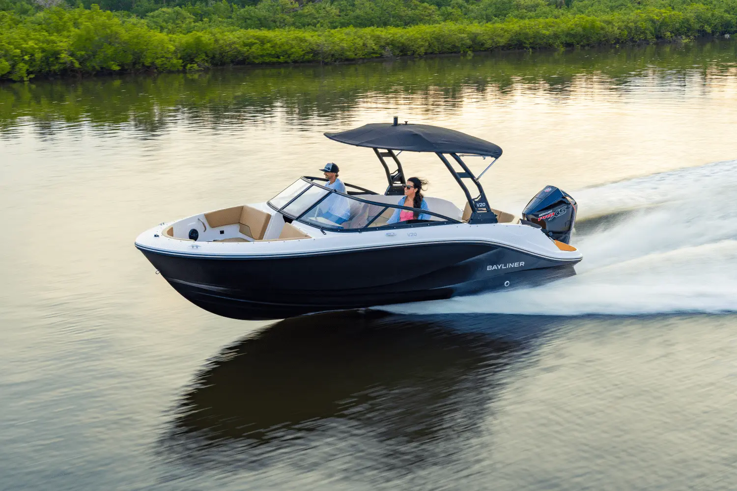 Bayliner D20I