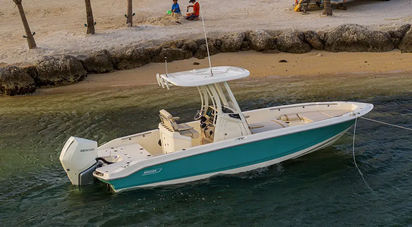 Boston Whaler 250 DAUNTLESS