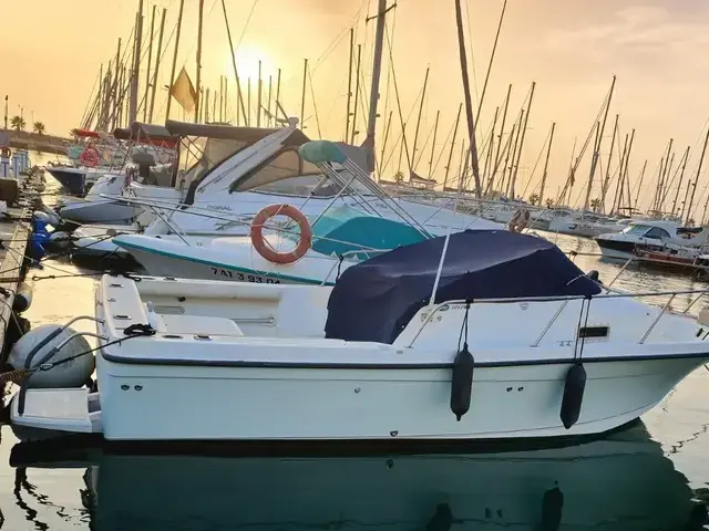 Bayliner 2052 TROPHY WA for sale in Spain for €7,500 (£6,504)