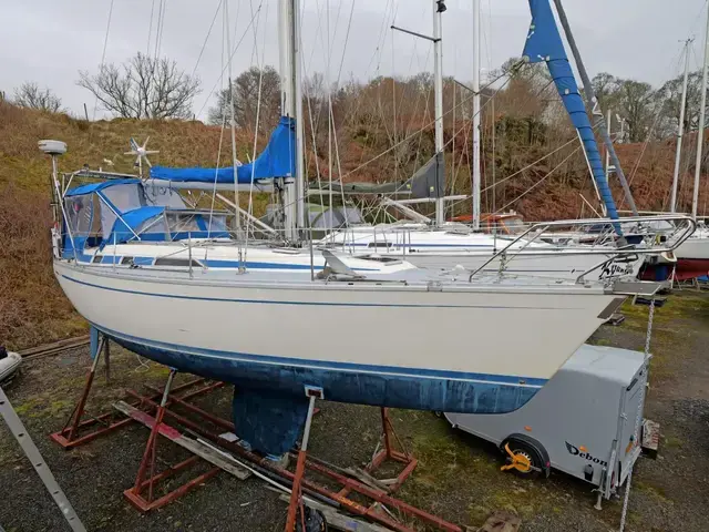 Bavaria 38 L