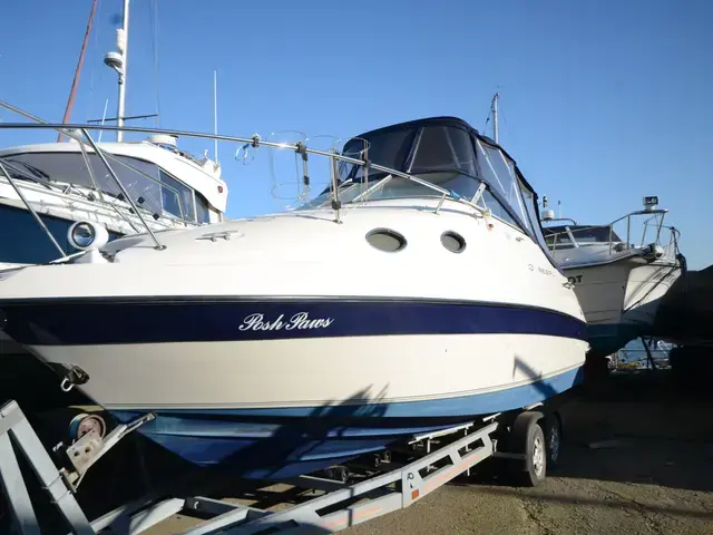 Regal 242 Commodore