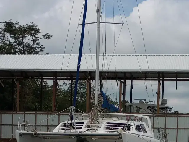 Leopard 47