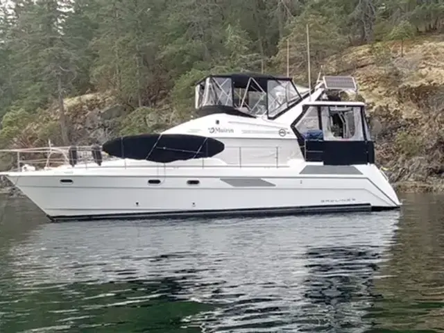Bayliner 4387 Motoryacht