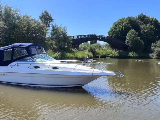 Sea Ray Sundancer 250