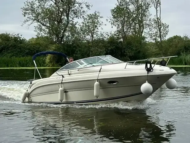 Sea Ray Weekender 245