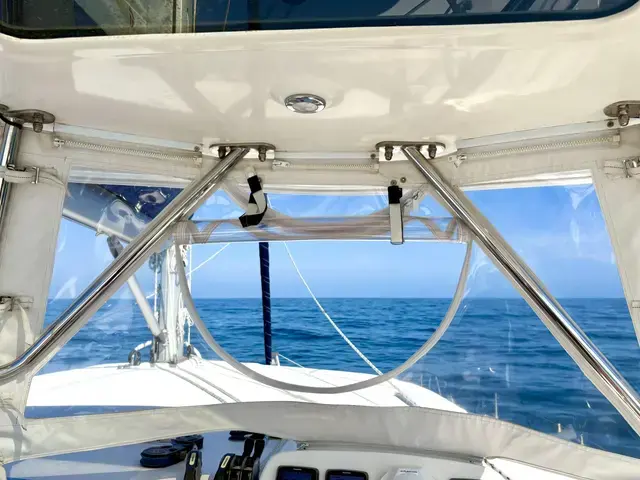 Leopard 44