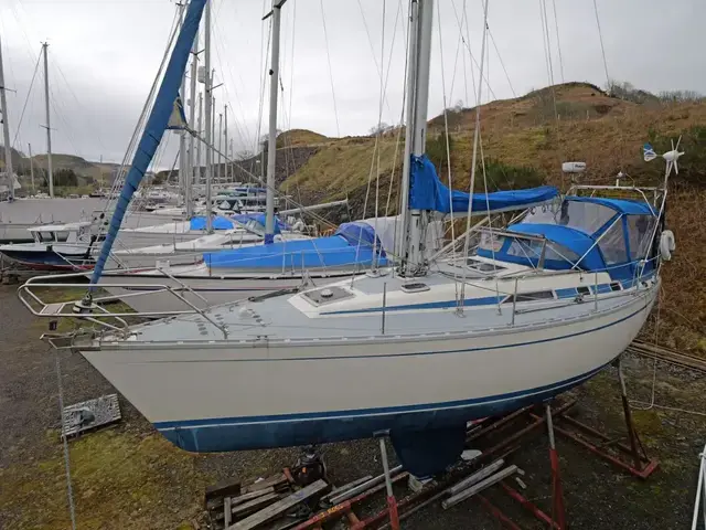 Bavaria 38 L